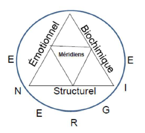 Le triangle de la santé : les méridiens émotionnel, structurel et biochimique, tout cela donne l'énergie