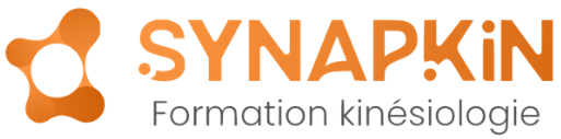 Logo de l'école Synapkin pour les formation en kinésiologie